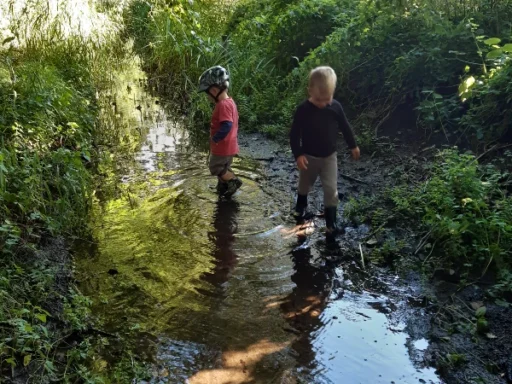 20200829_Krydse-en-aa-boern