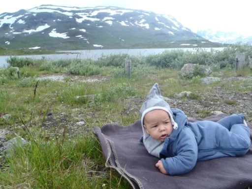 20160725_Hvor-meget-kan-de-helt-smaa