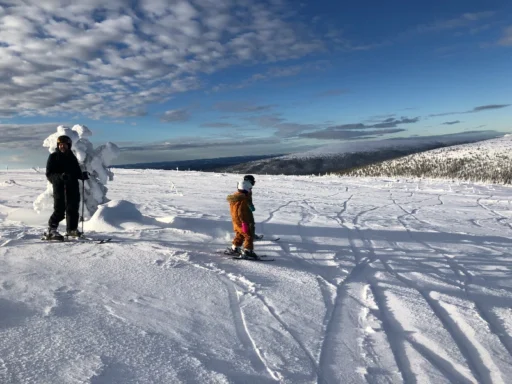 20250201_Sverige-Lindvallen-Ski